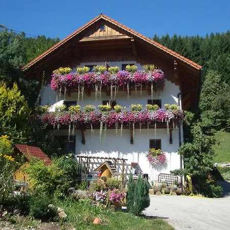 Schaf Und Pferdehof Klinser Bauernhof